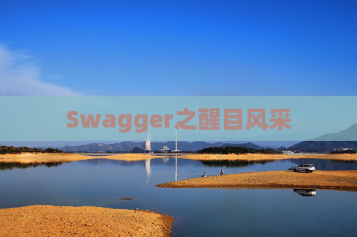 Swagger之醒目风采